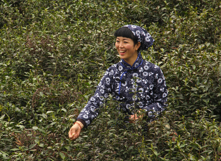 热门6